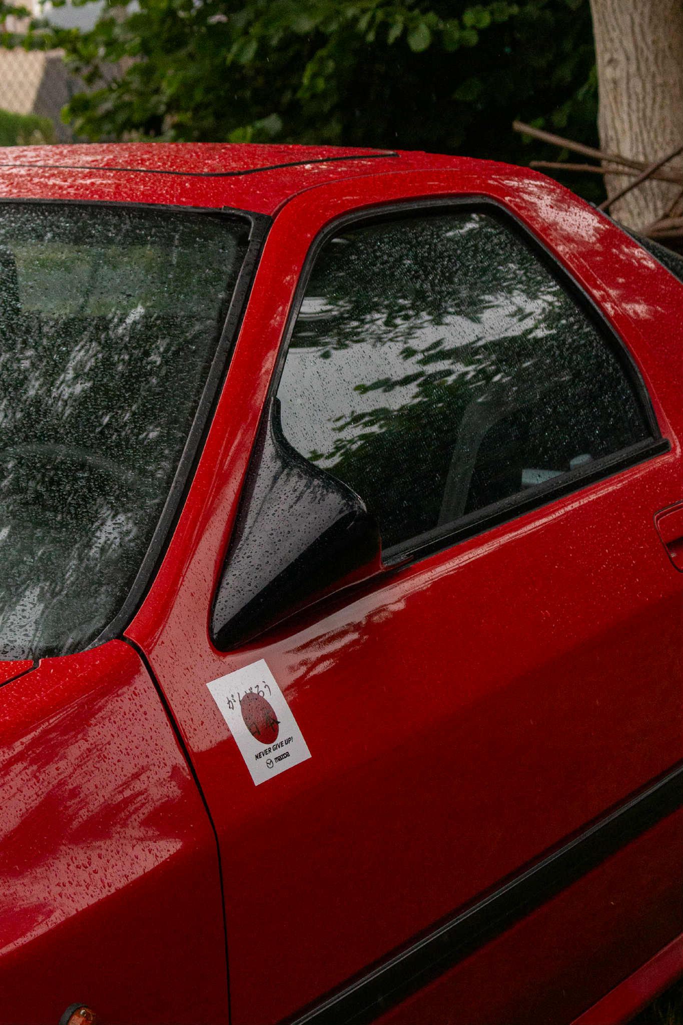 RE-Amemiya Side Mirrors (Preview)